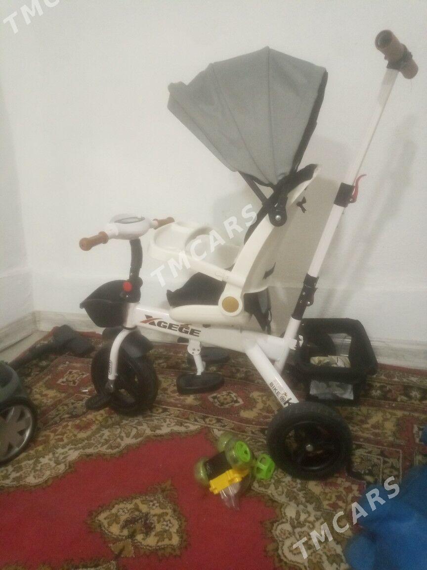 tigir - 30 mkr - img 3