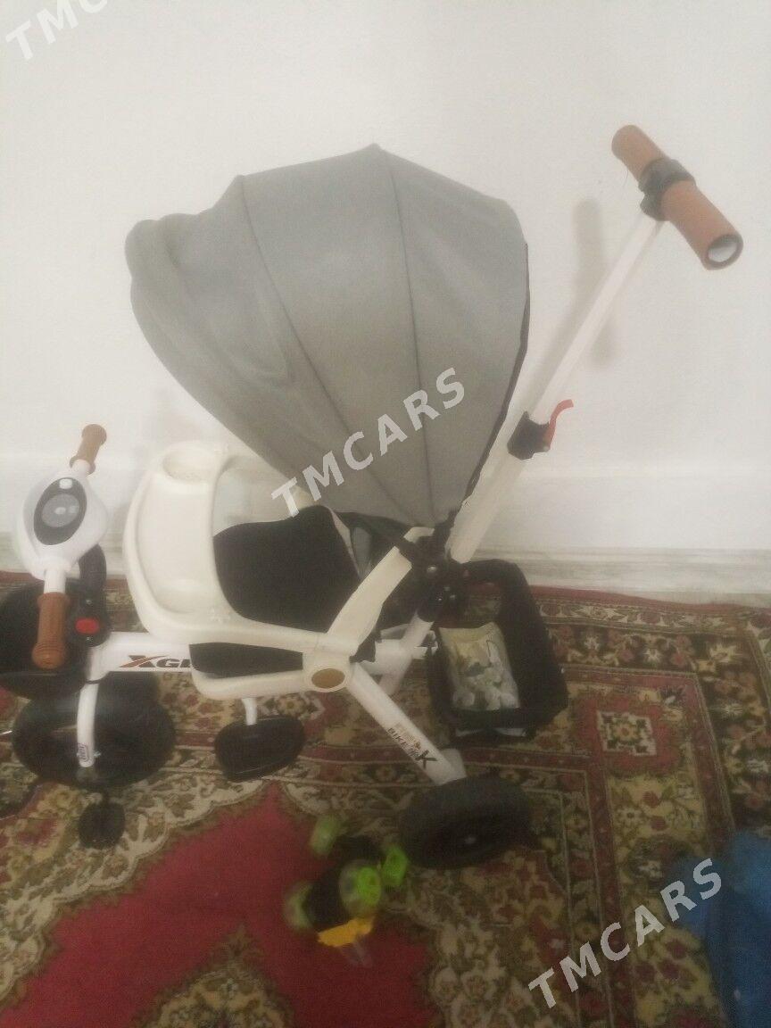 tigir - 30 mkr - img 2