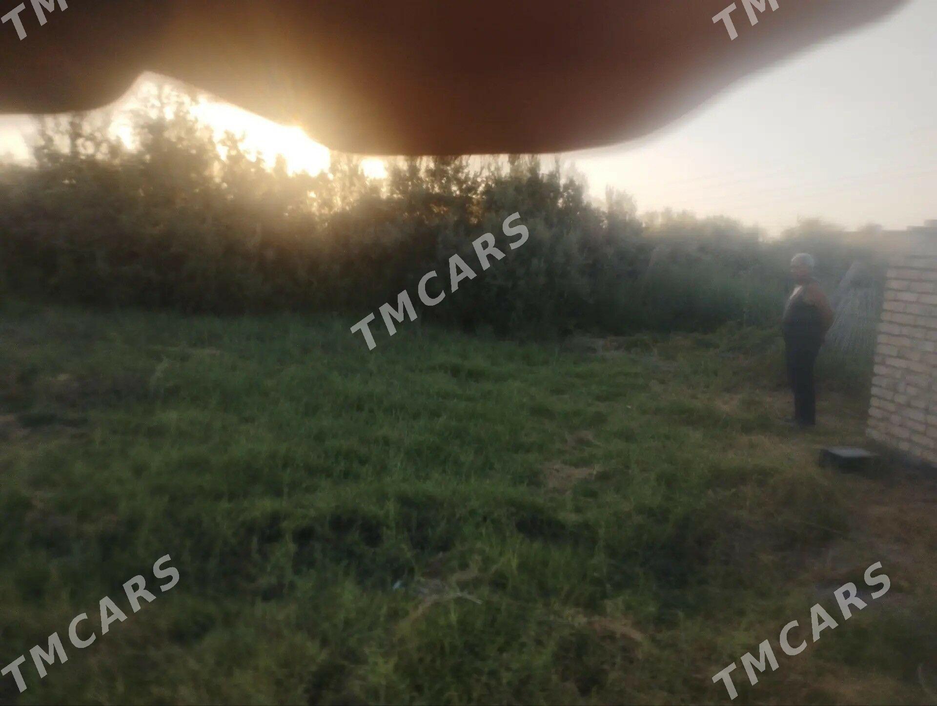 затон дача - Туркменабат - img 2