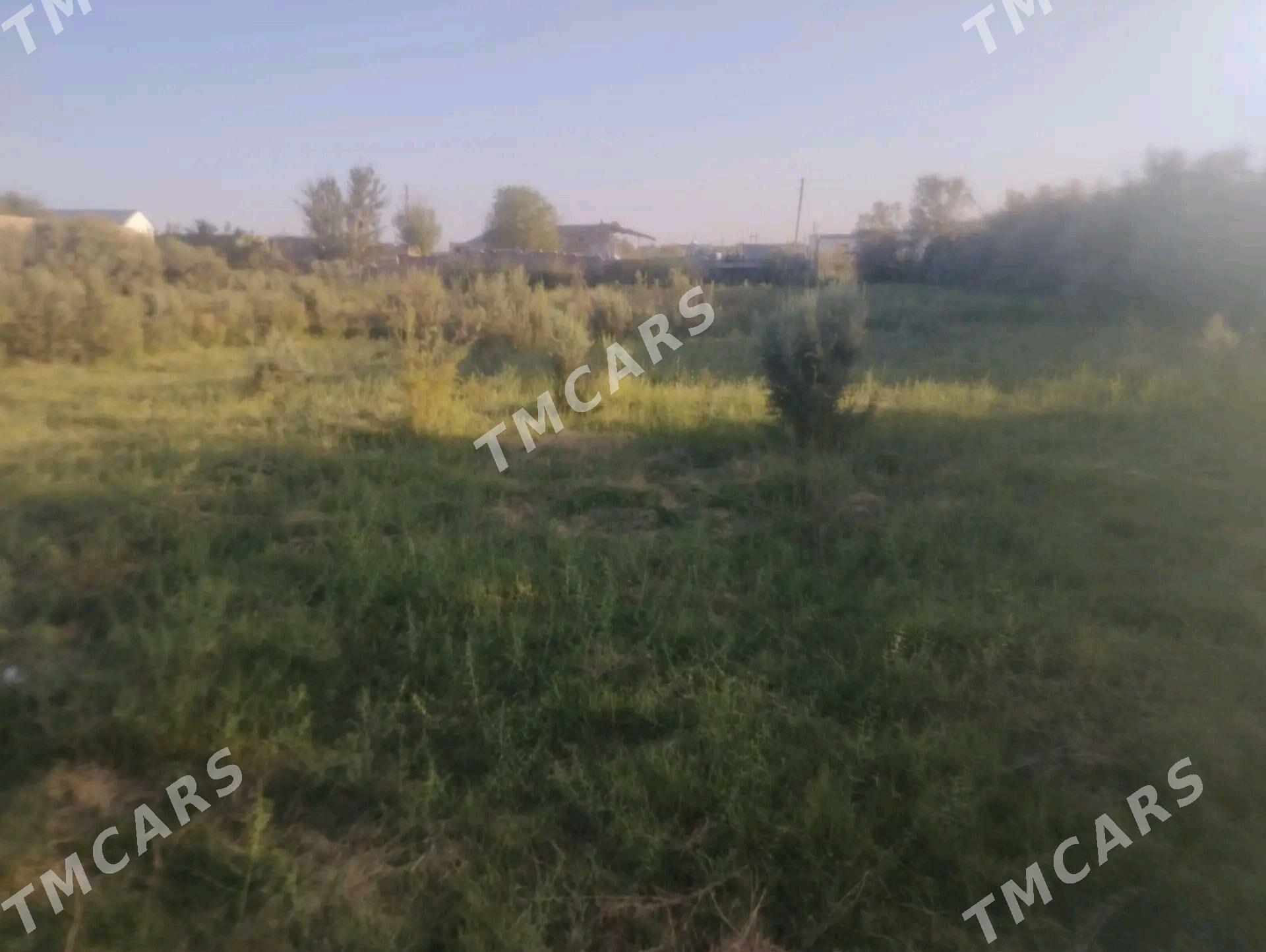 затон дача - Туркменабат - img 7