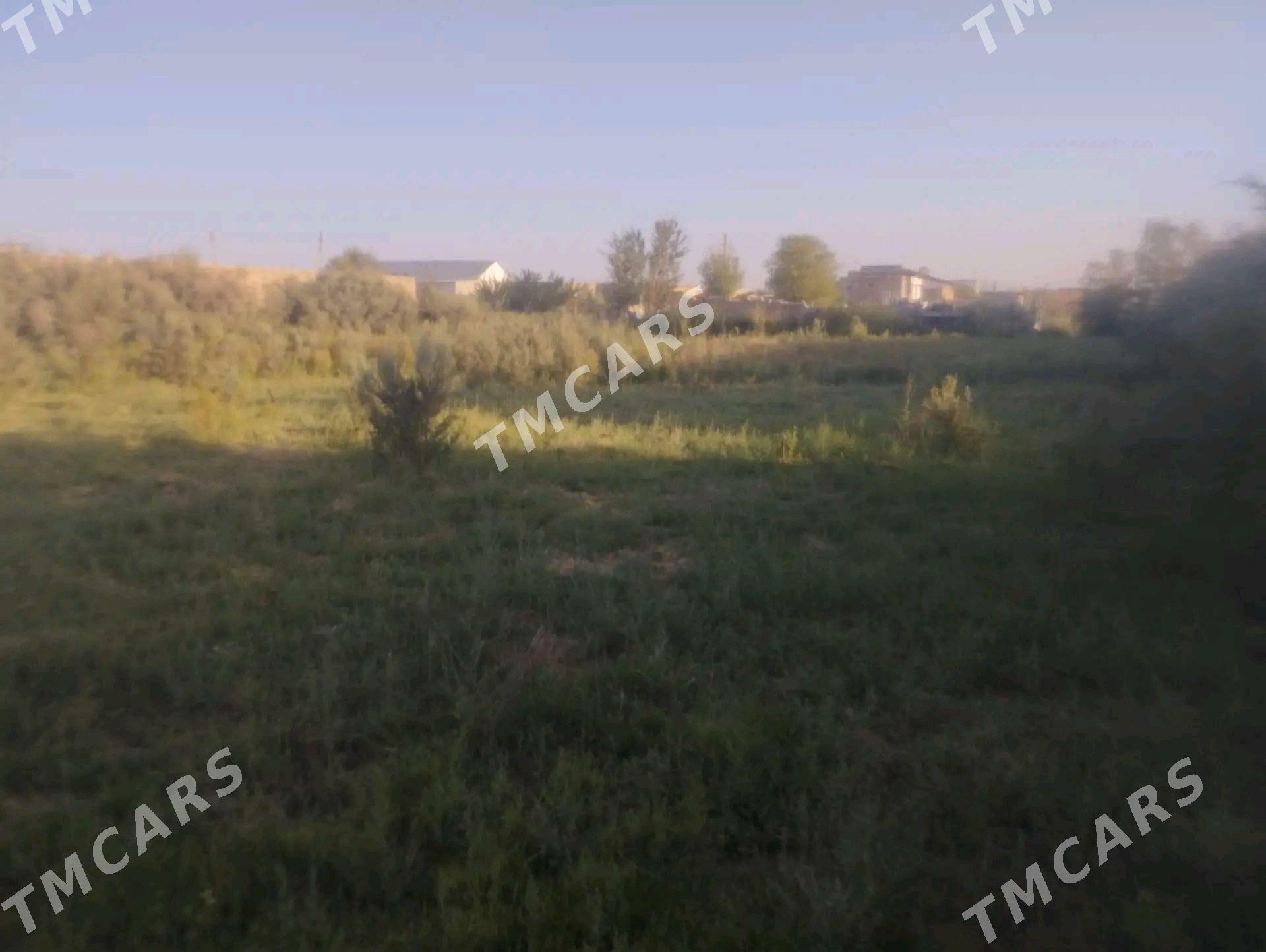 затон дача - Туркменабат - img 6