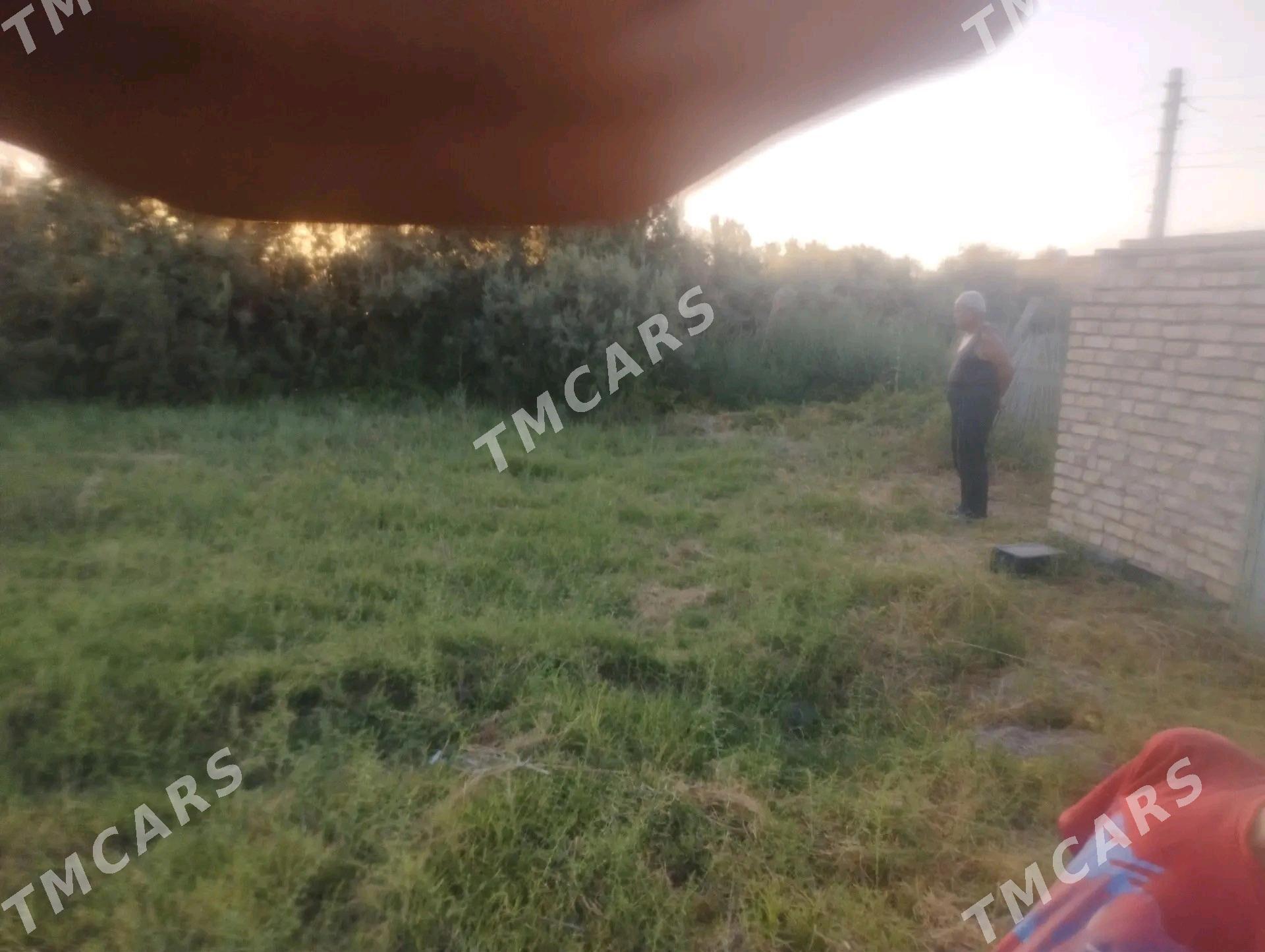 затон дача - Туркменабат - img 10