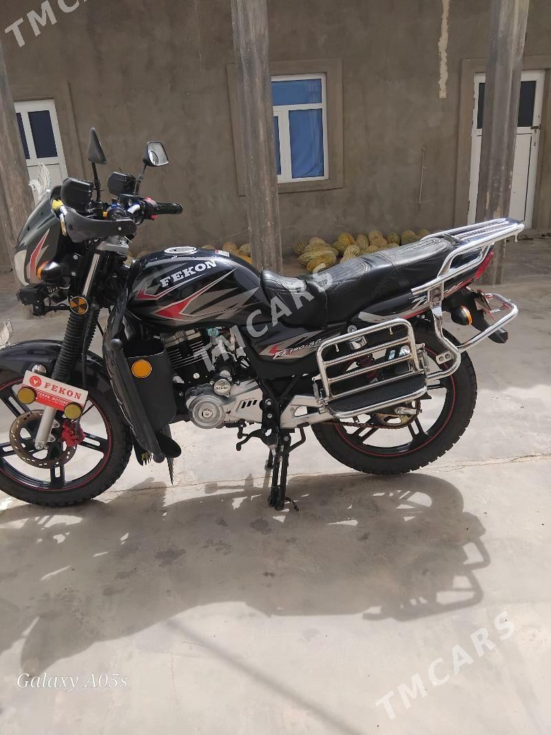Fekon FK200-14G 2025 - 20 000 TMT - Etrek - img 3