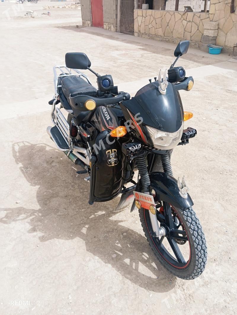 Fekon FK200-14G 2025 - 20 000 TMT - Etrek - img 4