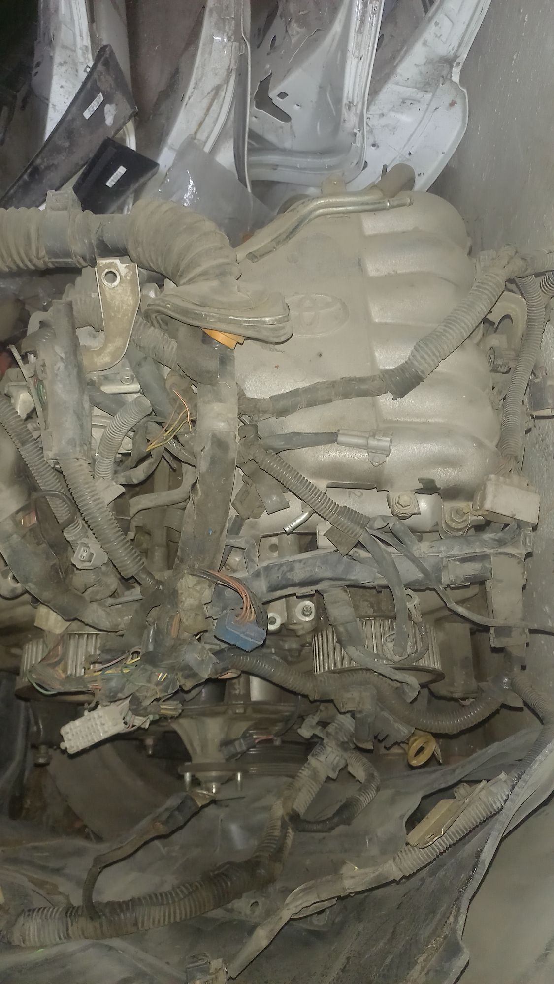 Dwitel 6 000 TMT - 11 мкр - img 4