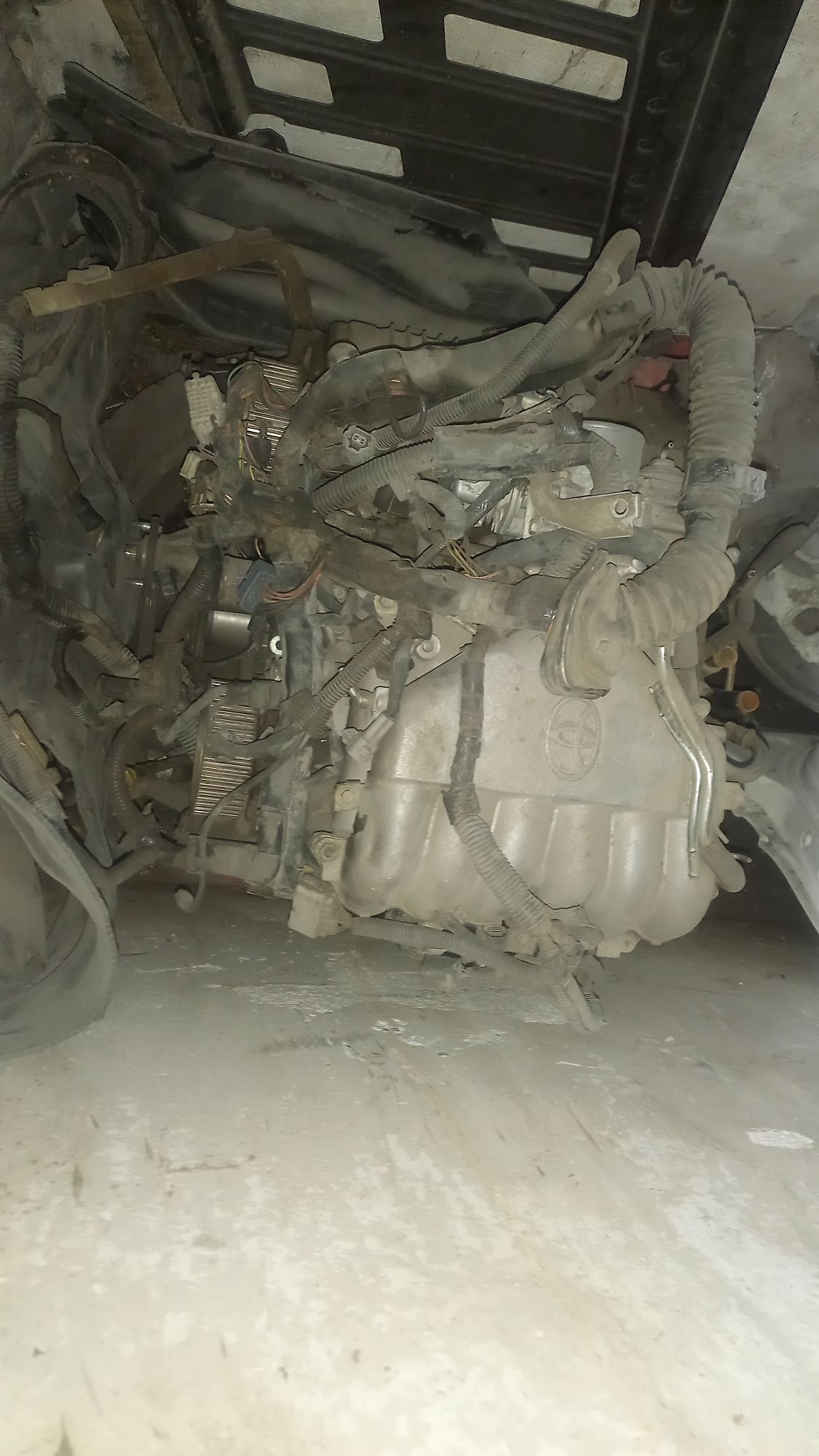 Dwitel 6 000 TMT - 11 мкр - img 2
