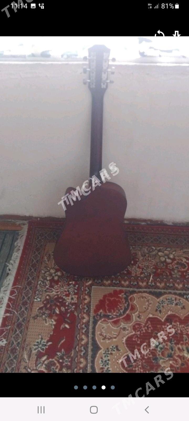 Gitara - Sakarçäge - img 2