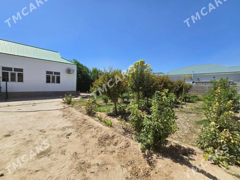 Bagyr Mirewe Багир Миреве - Bagyr - img 2