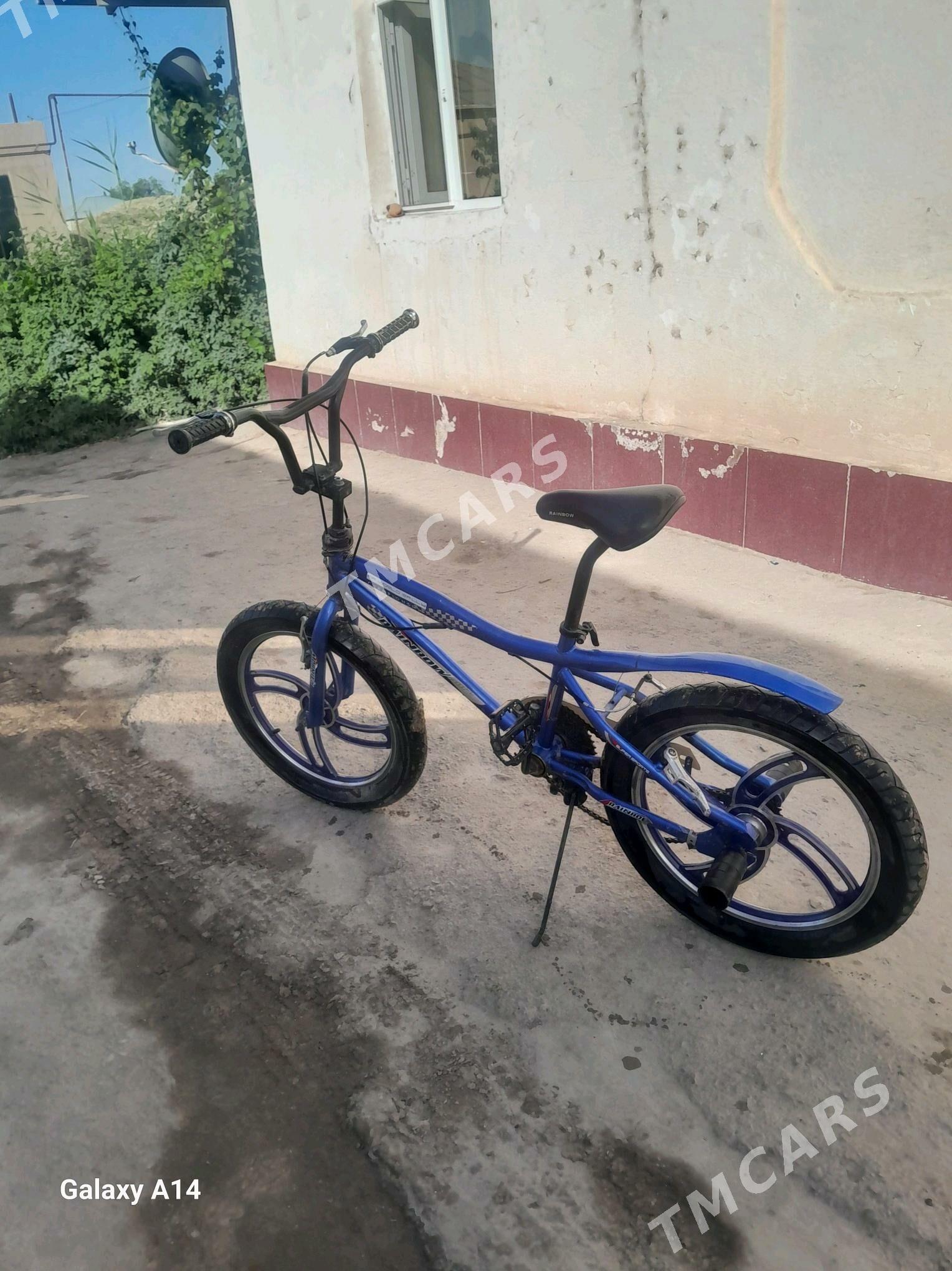 Rainbow tigir - Гороглы (Тагта) - img 2