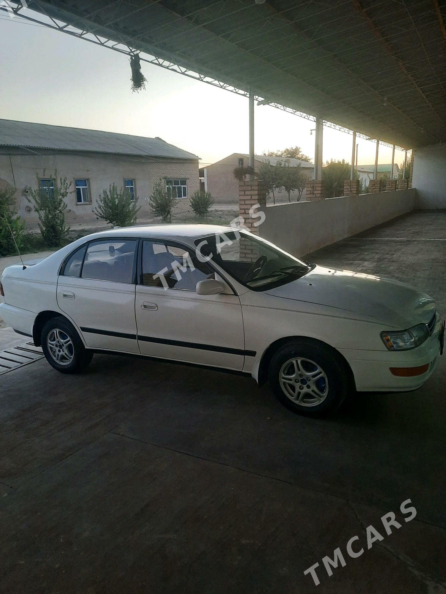 Toyota Corona 1993 - 56 000 TMT - Halaç - img 2