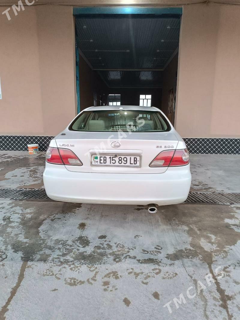 Lexus ES 300 2002 - 190 000 TMT - Çärjew - img 4