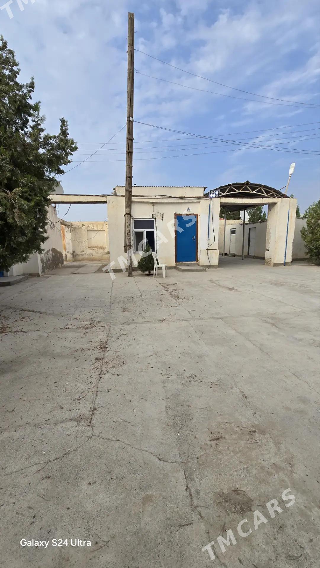 Towuk ferma , Balykçylyk - Gökdepe - img 2