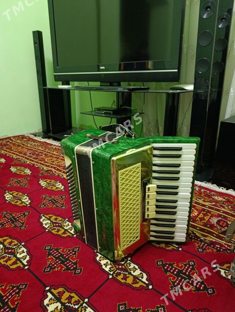 Akardion - Daşoguz - img 2