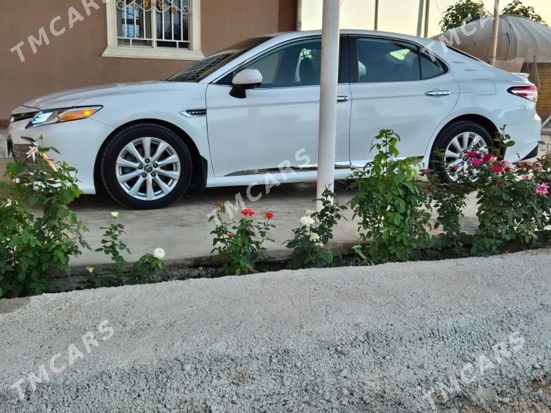 Toyota Camry 2019 - 280 000 TMT - Büzmeýin - img 3