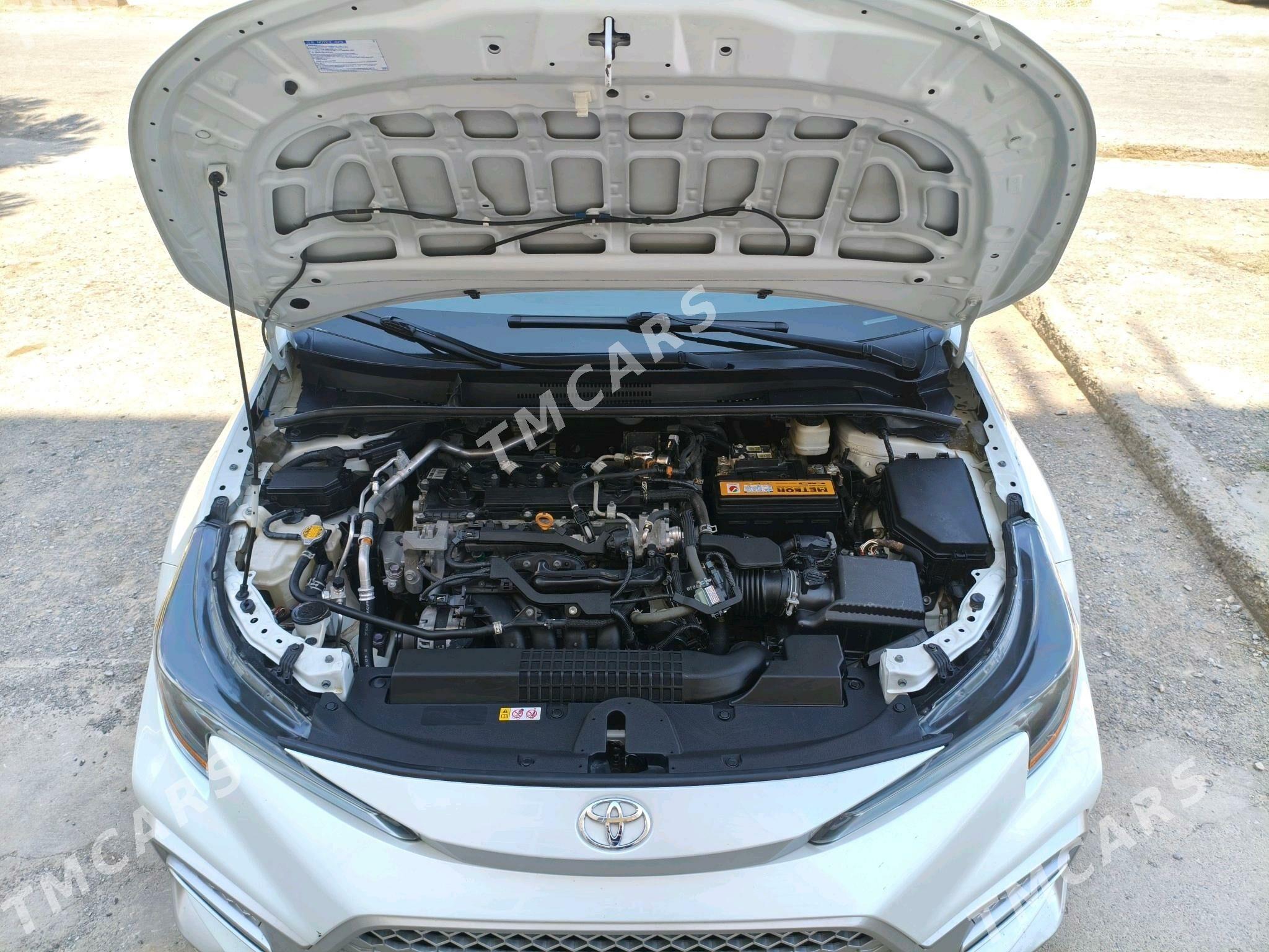 Toyota Corolla 2020 - 250 000 TMT - Туркменабат - img 5