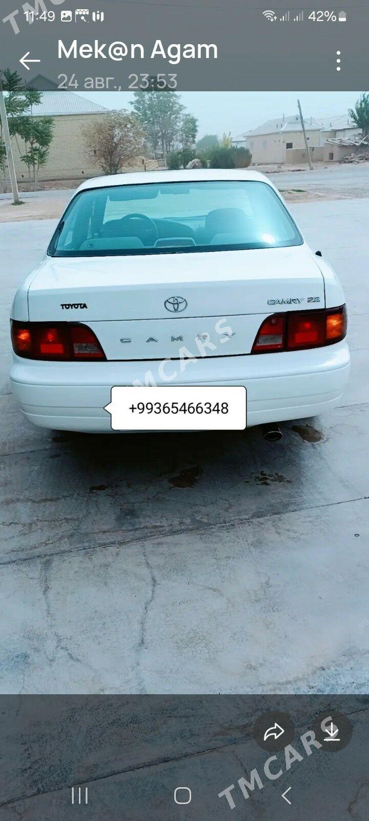 Toyota Camry 1996 - 90 000 TMT - Векильбазар - img 10