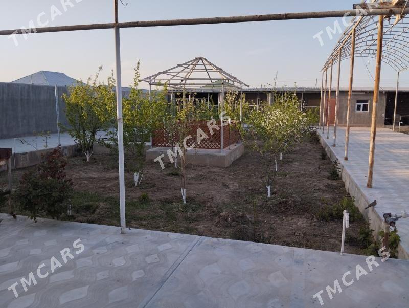 Anew Magtymguly - Aşgabat - img 2