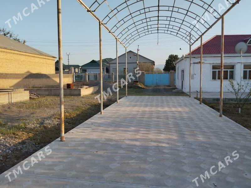 Anew Magtymguly - Aşgabat - img 3