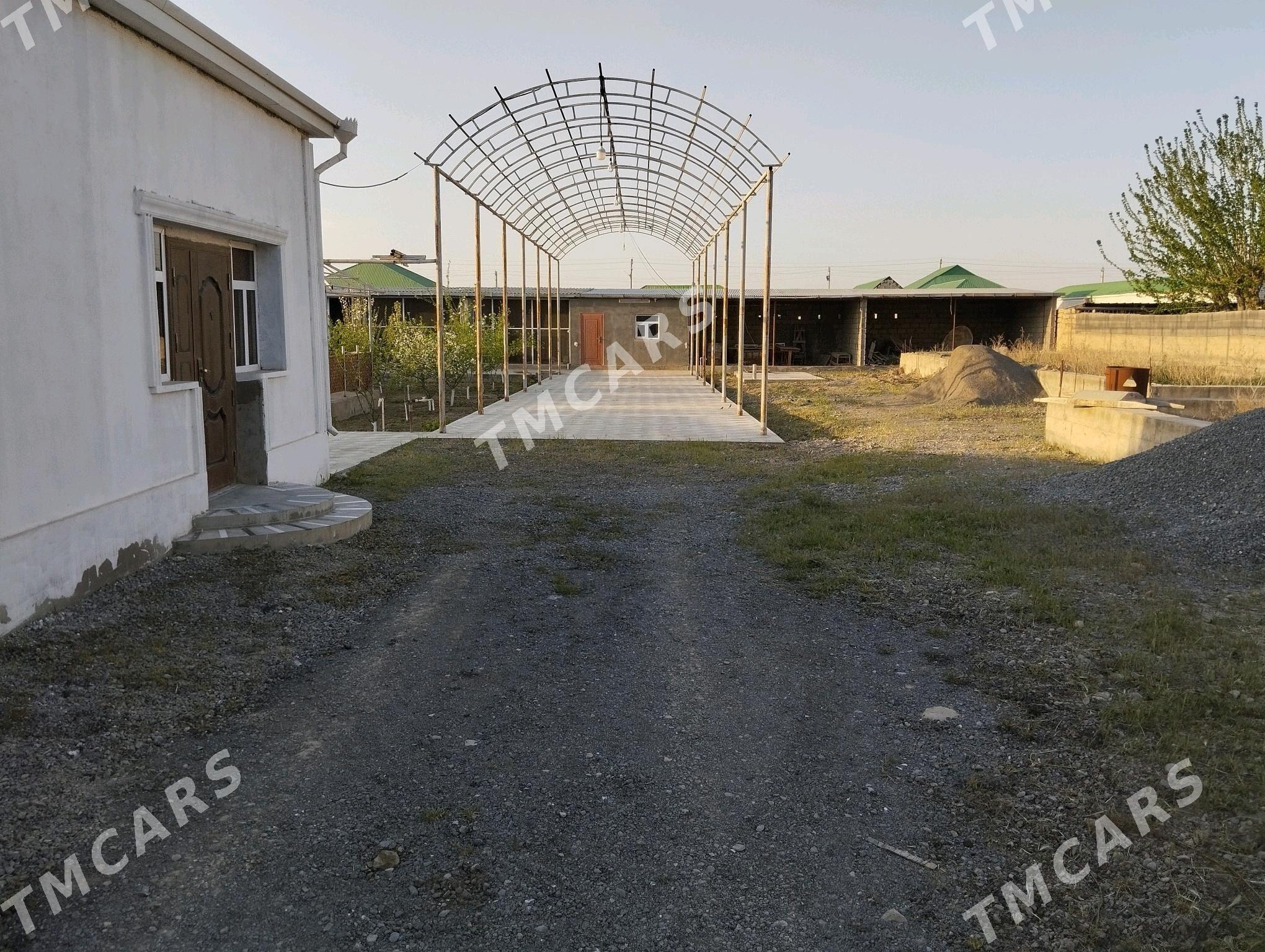 Anew Magtymguly - Aşgabat - img 6
