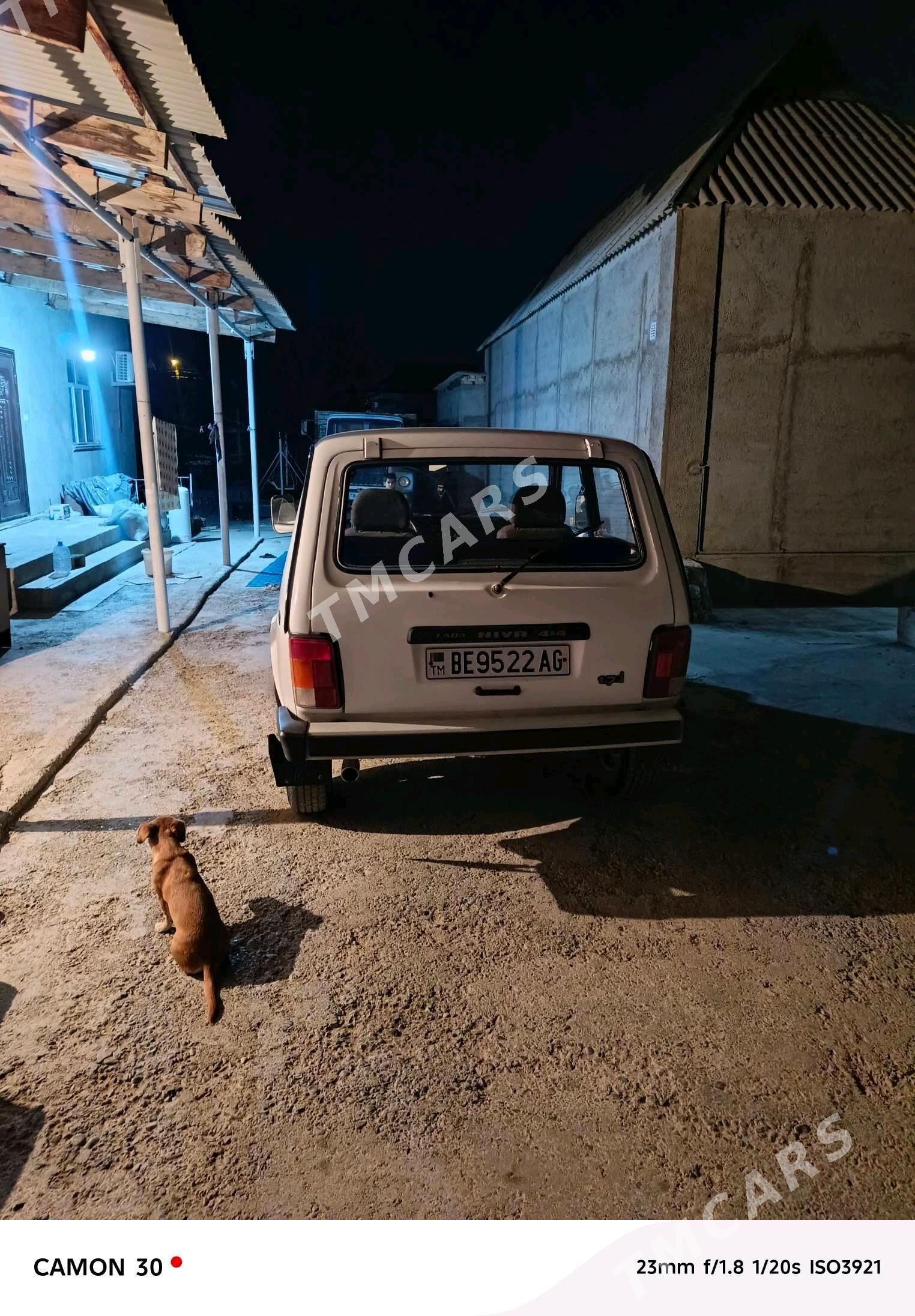 Lada Niva 2002 - 55 000 TMT - Gökdepe - img 5