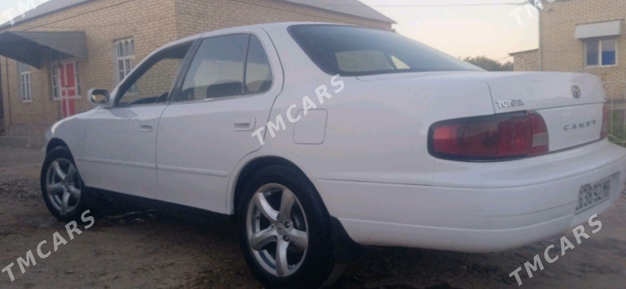 Toyota Camry 1995 - 75 000 TMT - Sakarçäge - img 4