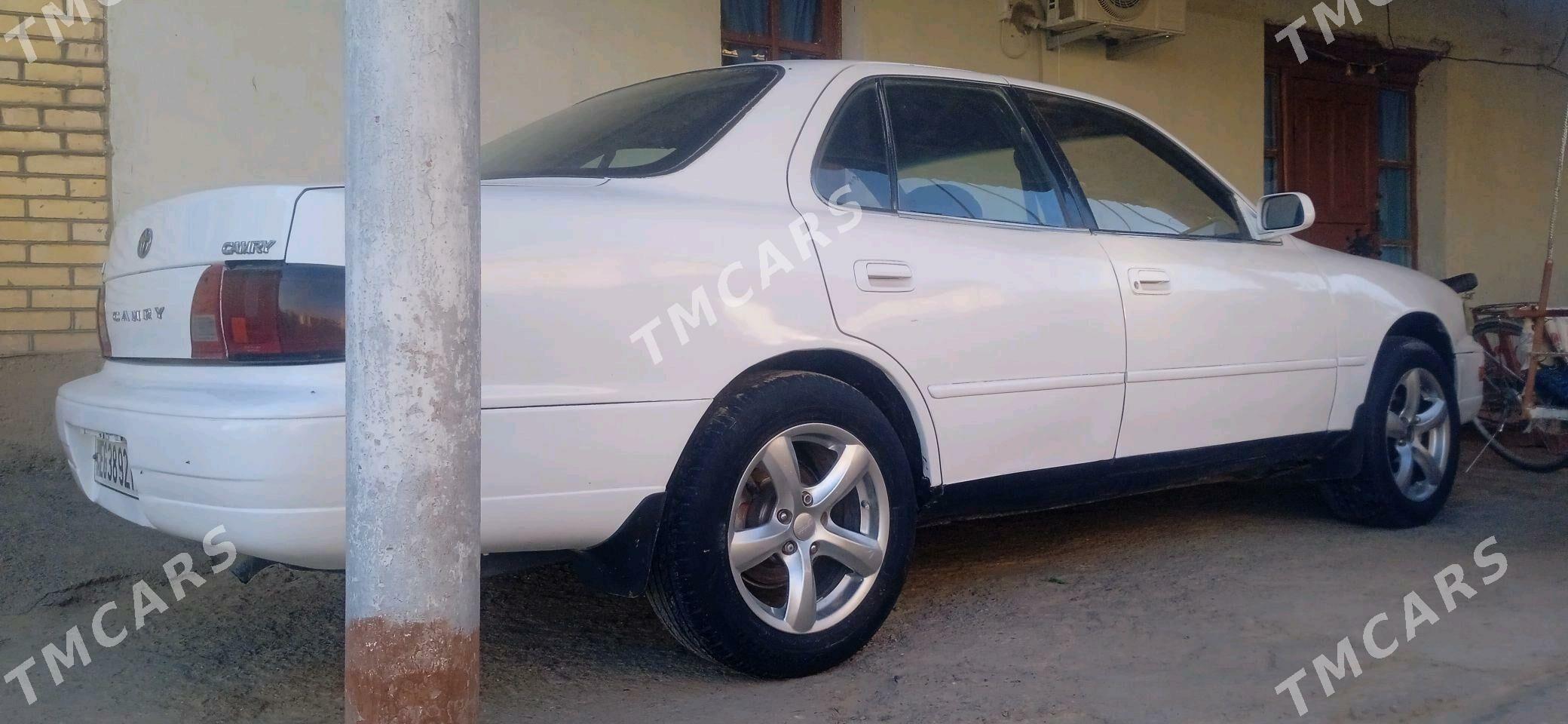 Toyota Camry 1995 - 75 000 TMT - Sakarçäge - img 3