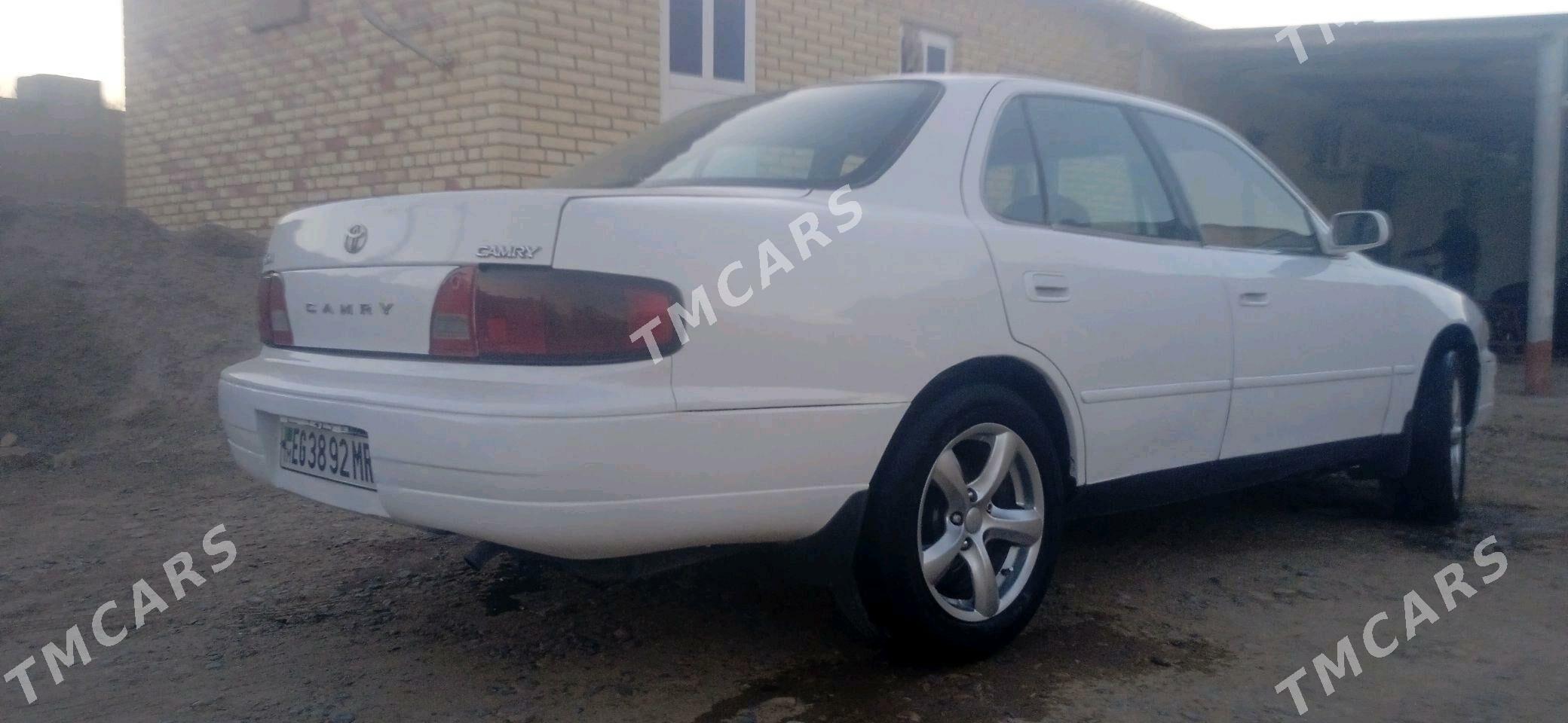 Toyota Camry 1995 - 75 000 TMT - Sakarçäge - img 8