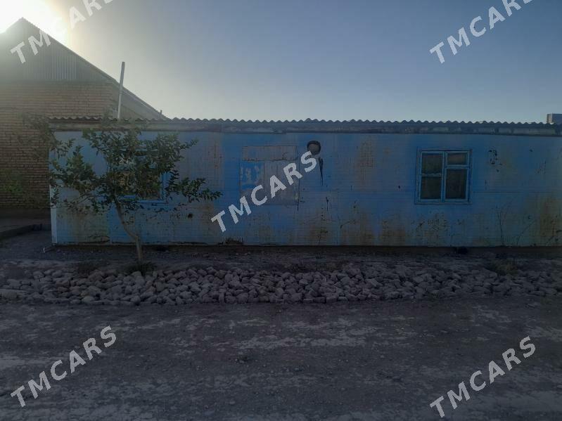 Wagon - Sarahs - img 1
