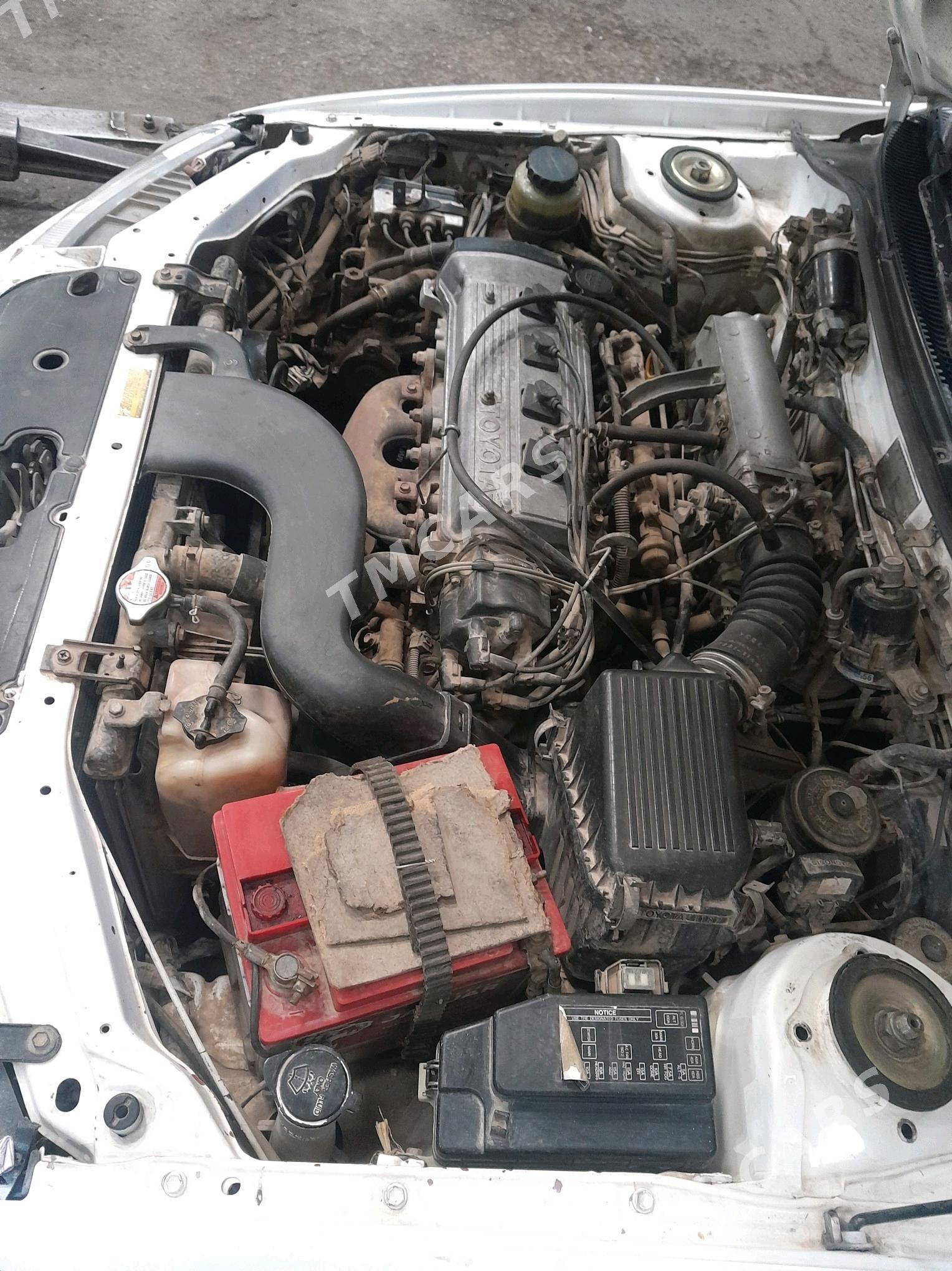 Toyota Proace 1997 - 50 000 TMT - Гороглы (Тагта) - img 2