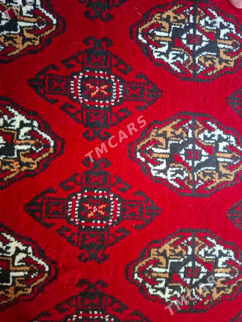 haly - Aşgabat - img 2