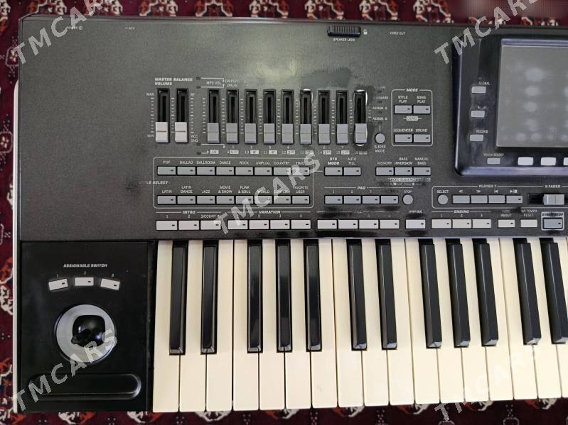 Korg Pa3x - Sakar - img 3