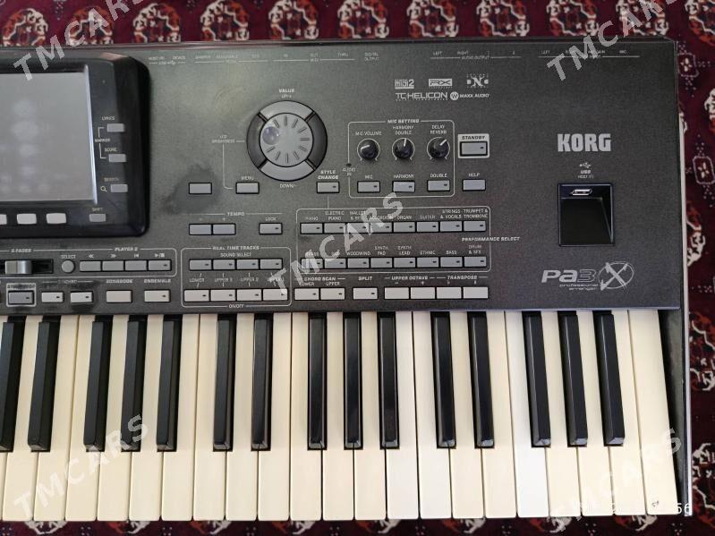 Korg Pa3x - Sakar - img 4