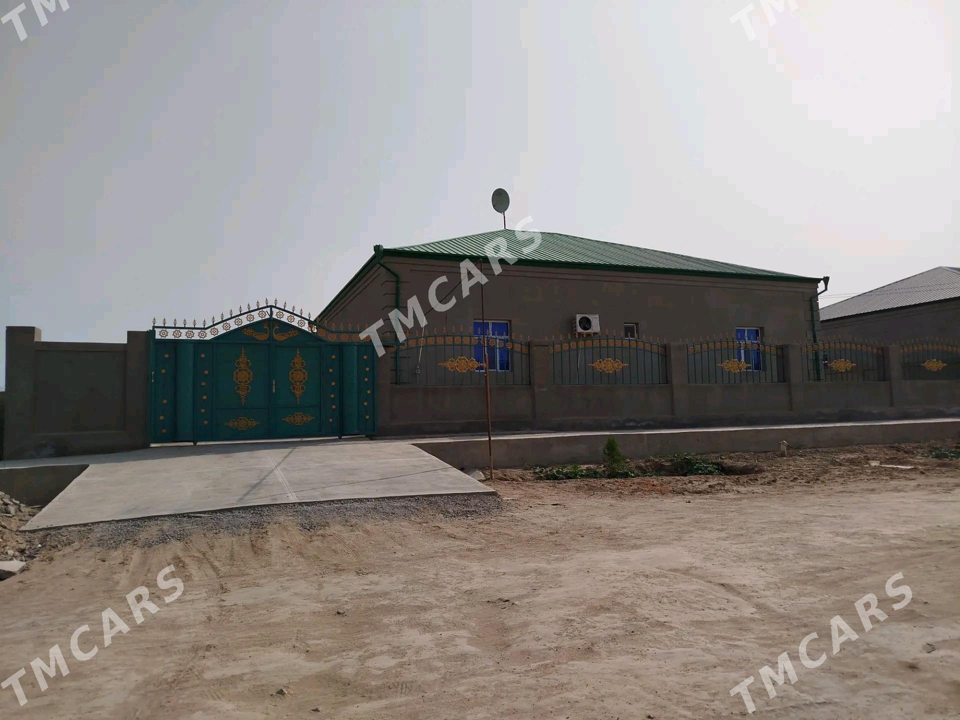 pylan jay - Görogly (Tagta) - img 10