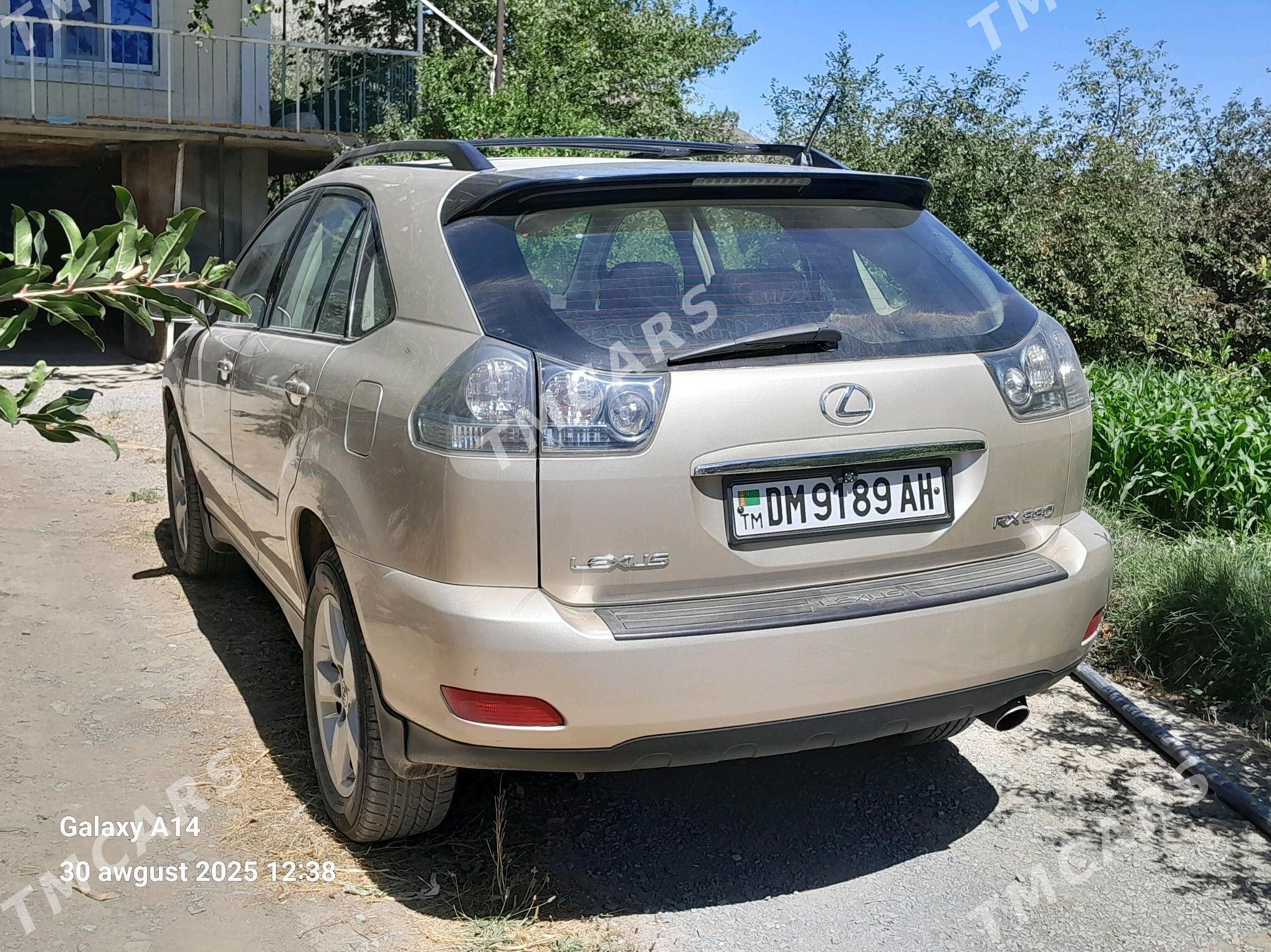 Lexus RX 330 2005 - 250 000 TMT - Бахарден - img 8