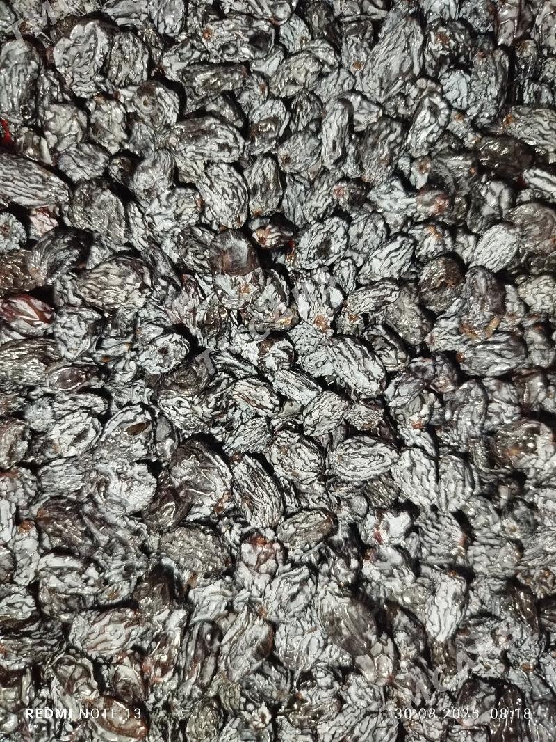 kişmiş - Arkadag - img 2