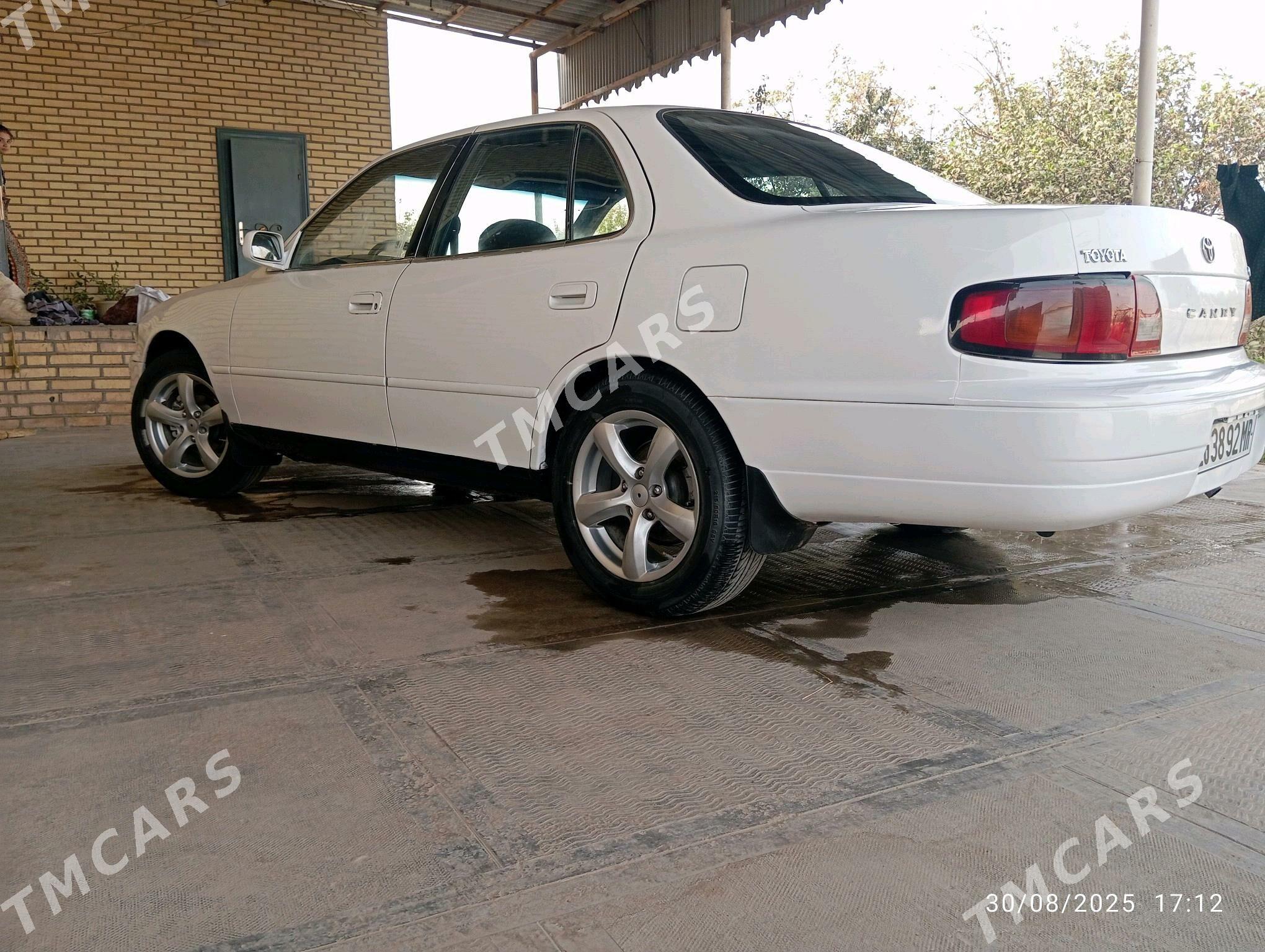 Toyota Camry 1995 - 75 000 TMT - Sakarçäge - img 4
