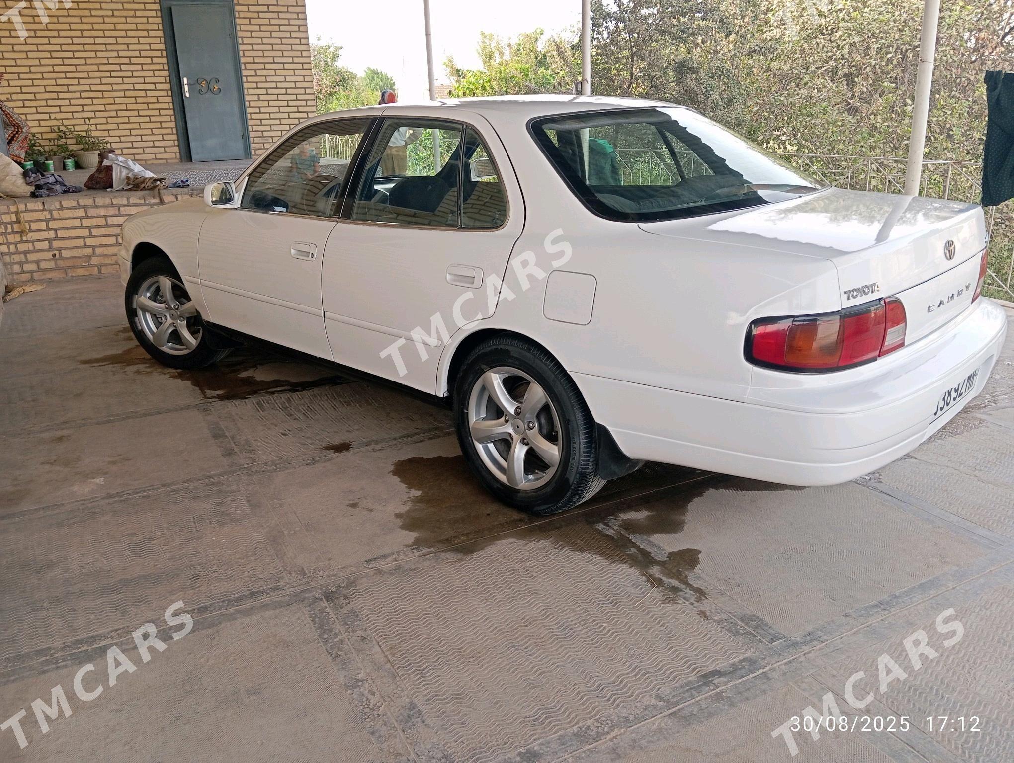 Toyota Camry 1995 - 75 000 TMT - Sakarçäge - img 5