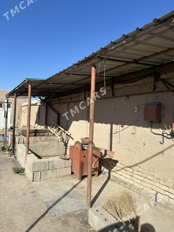 Satlyk Howly jaý - Гороглы (Тагта) - img 6