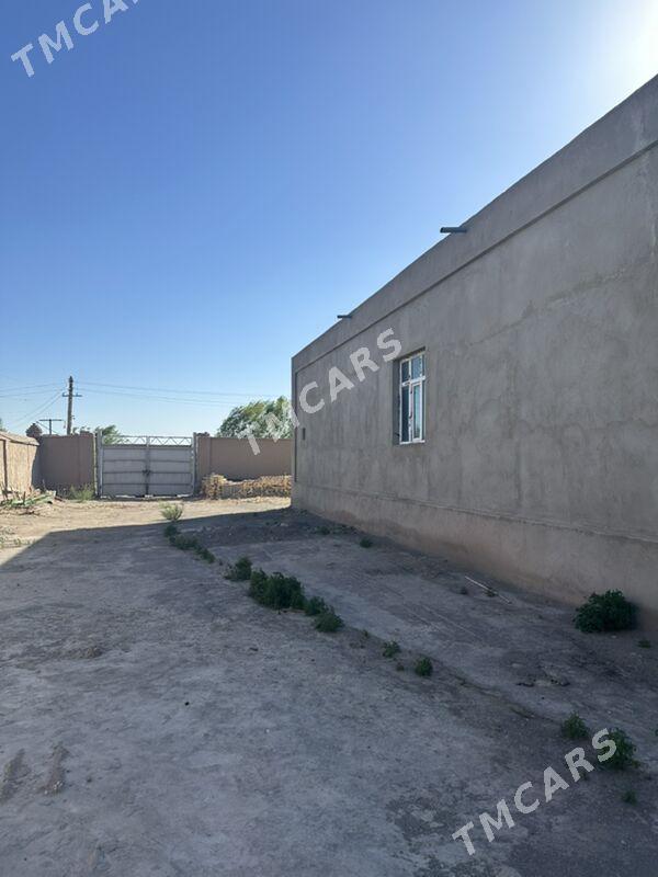 Satlyk Howly jaý - Гороглы (Тагта) - img 5