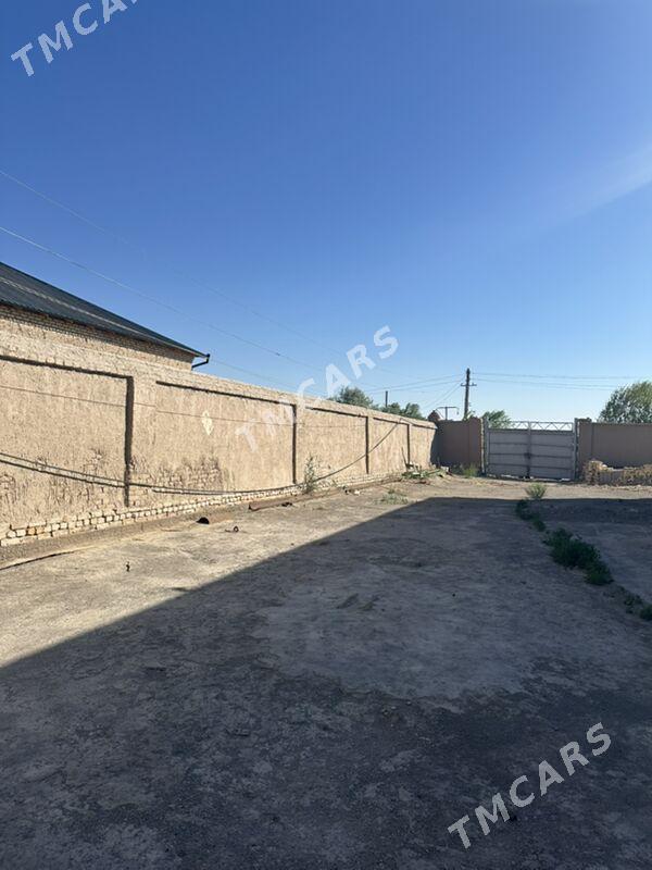 Satlyk Howly jaý - Гороглы (Тагта) - img 9