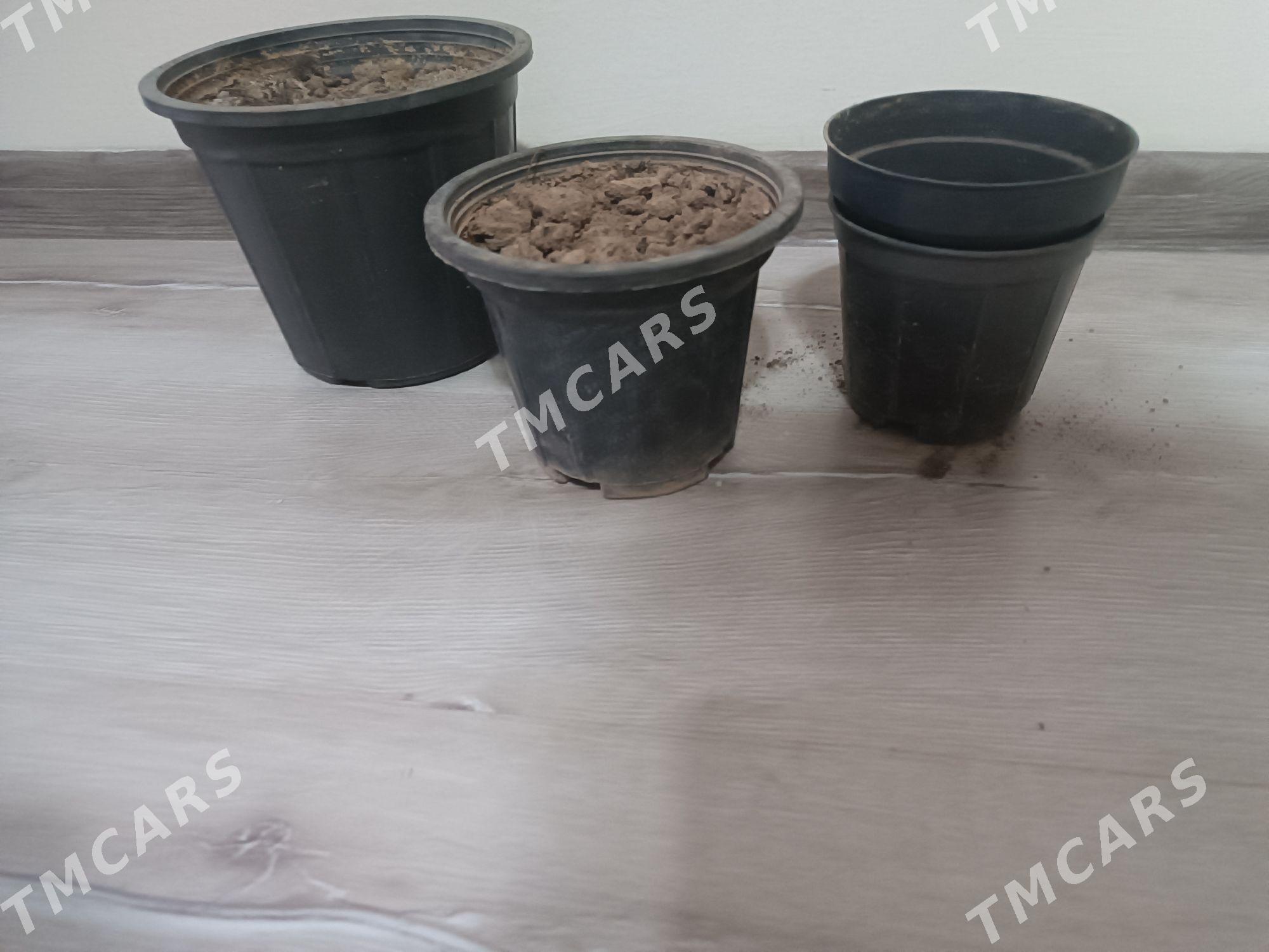 Горшки , gül ücin gorşok - 2 mkr - img 2