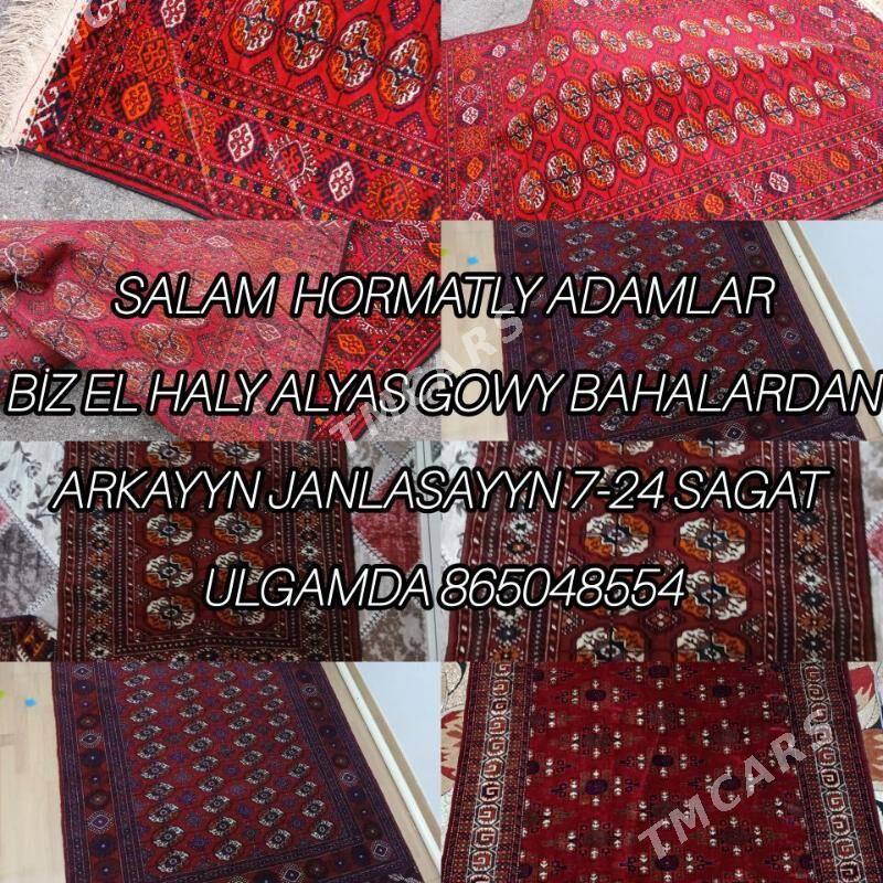 El haly paduda - Aşgabat - img 3
