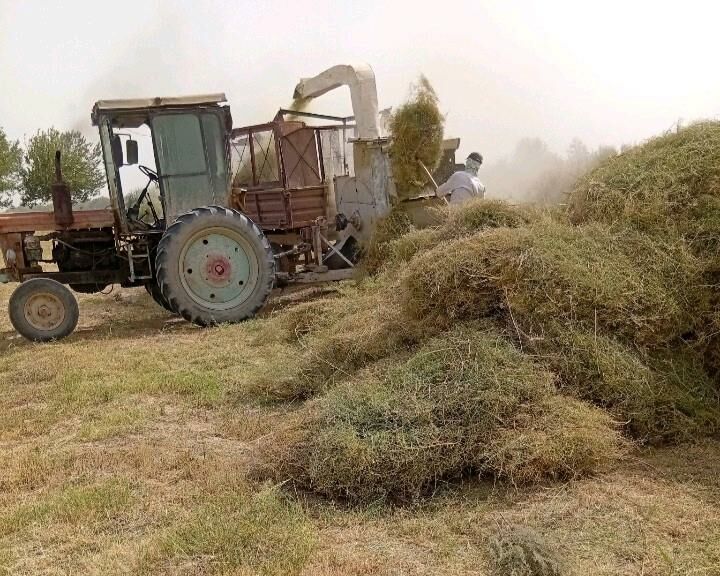MTZ T-28 1992 - 65 000 TMT - Мары - img 6
