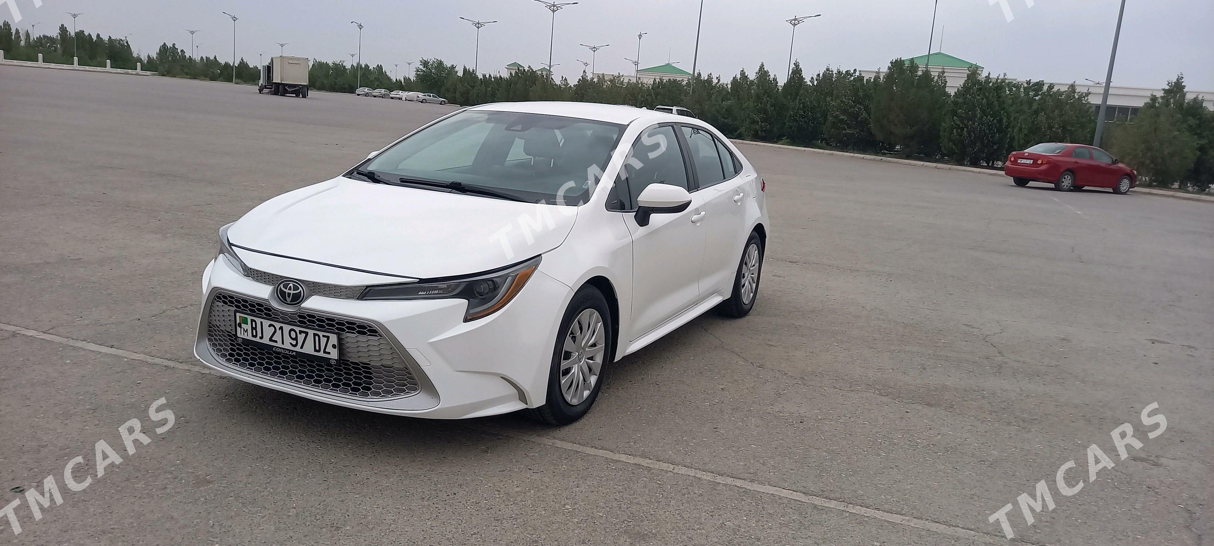 Toyota Corolla 2020 - 250 000 TMT - Daşoguz - img 2