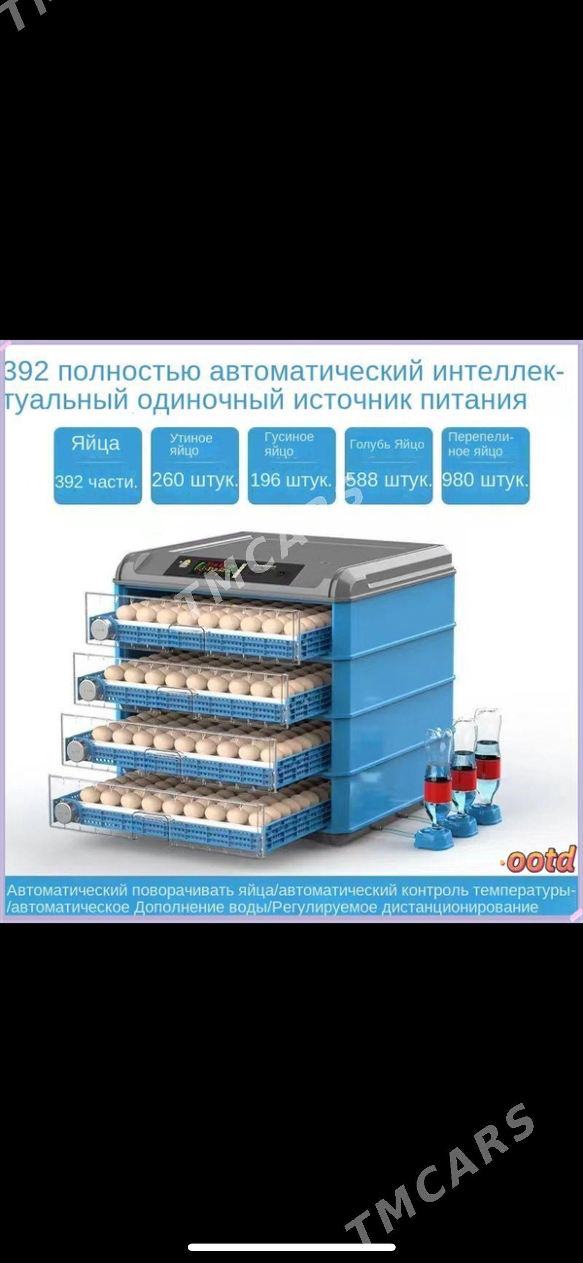 inkubator 392 yumurtgalyñ - Aşgabat - img 2