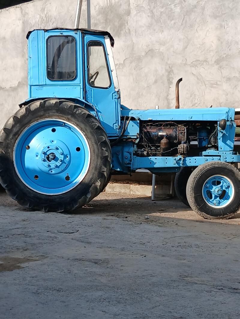 MTZ T-28 1984 - 40 000 TMT - Арзув - img 2