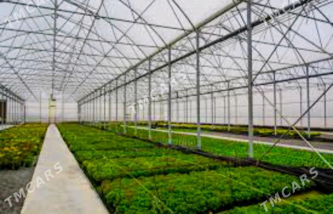 SROCNA ISGAR GEREK (oglan) - Aşgabat - img 2