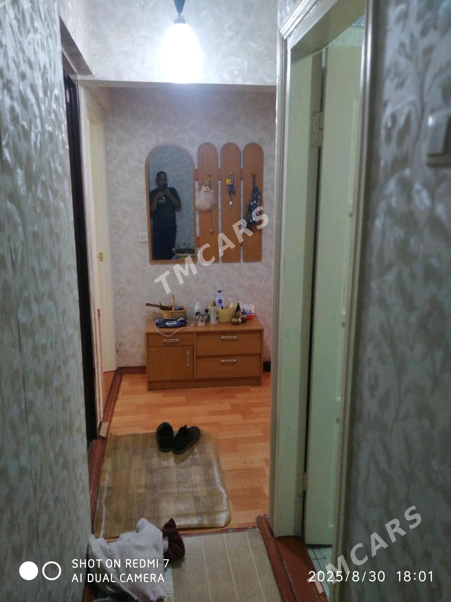 Satlyk jay - Mary - img 7