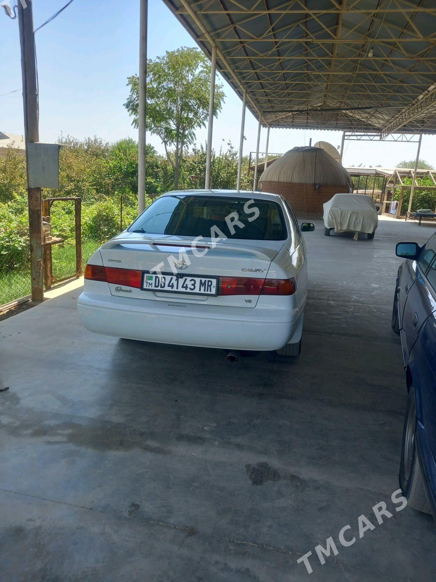 Toyota Camry 1998 - 125 000 TMT - Sakarçäge - img 2