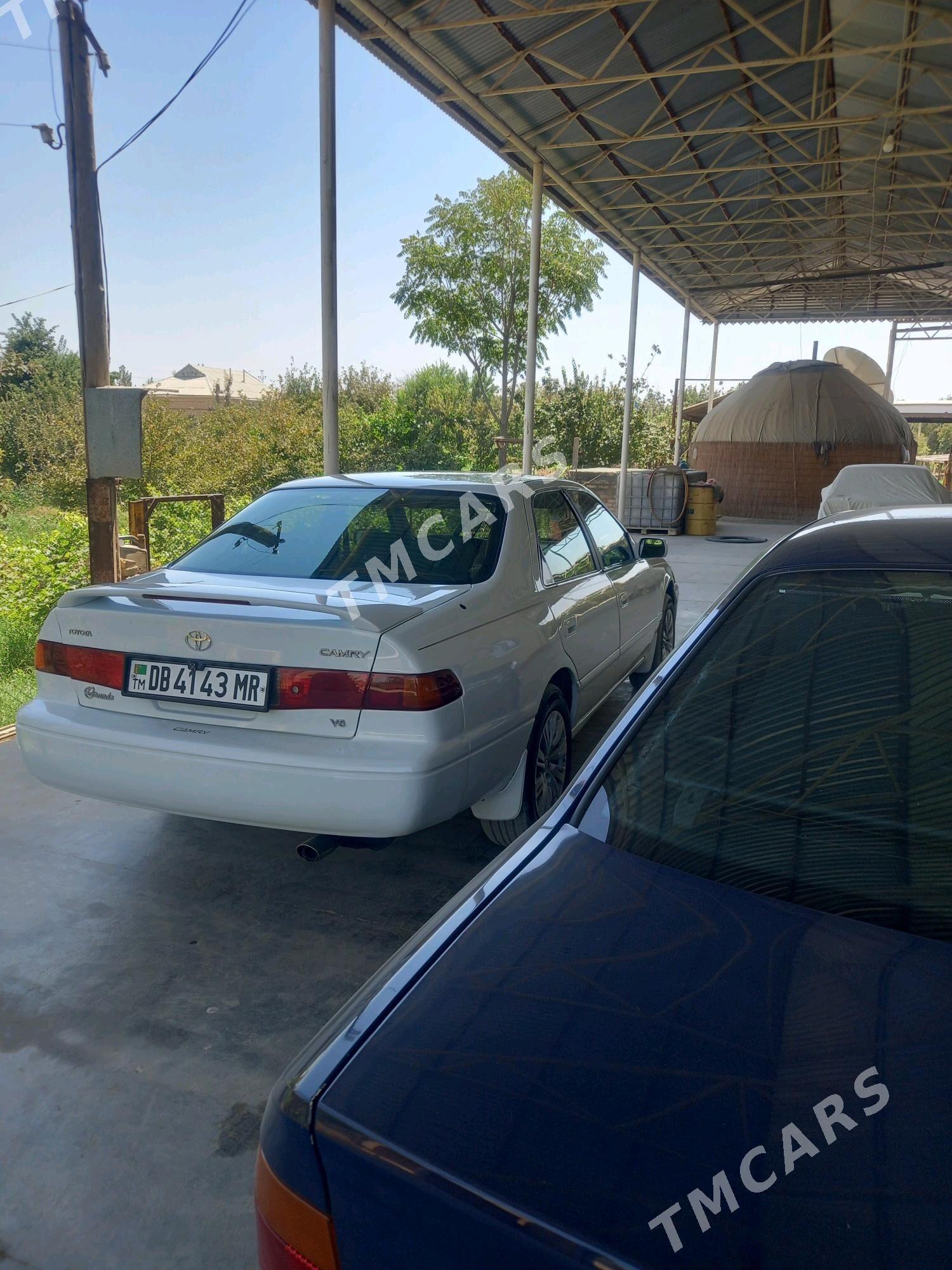 Toyota Camry 1998 - 125 000 TMT - Sakarçäge - img 5